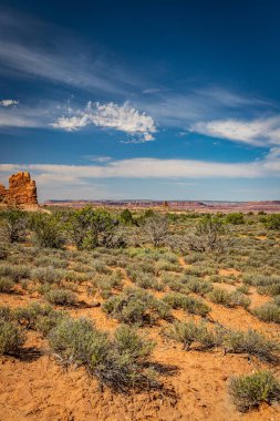 Kanyonlar, aşınmış kumtaşı oluşumları ve kireçtaşı oluşumları Arches Ulusal Parkı nesr Moab, Utah 'ta hakim..