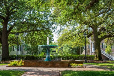 Savannah, GA / USA - 22 Nisan 2016: Wormsloe Fountain Georgia 'nın dünyaca ünlü tarihi bölgesi Savannah' daki Columbia Meydanı 'nda yer almaktadır..