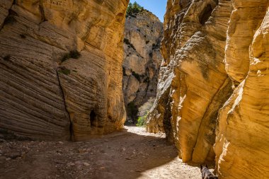 Lick Wash, Utah Kane County 'deki Grand Staircase-Escalante Ulusal Anıtı' ndaki ani sel baskınlarından dolayı kaya duvarlarının aşınmasıyla oluşmuş bir kanal..