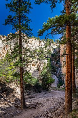 Lick Wash, Utah Kane County 'deki Grand Staircase-Escalante Ulusal Anıtı' ndaki ani sel baskınlarından dolayı kaya duvarlarının aşınmasıyla oluşmuş bir kanal..