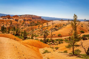 Utah 'taki Bryce Canyon Ulusal Parkı' nda Queen 's Garden ve Navajo Döngü yürüyüş yolları boyunca serseriler ve aşınmış kumtaşı oluşumları..
