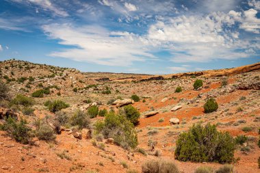 Kanyonlar, aşınmış kumtaşı oluşumları ve kireçtaşı oluşumları Arches Ulusal Parkı nesr Moab, Utah 'ta hakim..