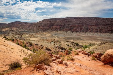 Kanyonlar, aşınmış kumtaşı oluşumları ve kireçtaşı oluşumları Arches Ulusal Parkı nesr Moab, Utah 'ta hakim..
