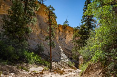 Lick Wash, Utah Kane County 'deki Grand Staircase-Escalante Ulusal Anıtı' ndaki ani sel baskınlarından dolayı kaya duvarlarının aşınmasıyla oluşmuş bir kanal..