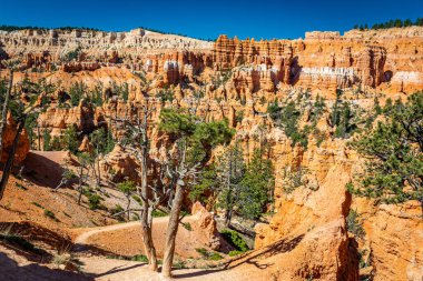 Utah 'taki Bryce Canyon Ulusal Parkı' nda Queen 's Garden ve Navajo Döngü yürüyüş yolları boyunca serseriler ve aşınmış kumtaşı oluşumları..