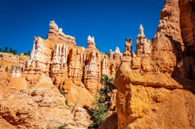 Utah 'taki Bryce Canyon Ulusal Parkı' nda Queen 's Garden ve Navajo Döngü yürüyüş yolları boyunca serseriler ve aşınmış kumtaşı oluşumları..