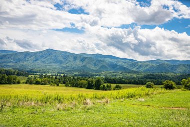 Gatlinburg, Tennessee yakınlarındaki Great Smoky Dağları Ulusal Parkı 'nda popüler bir durak olan Cades Cove Scenic Loop Trail' den görüntüler.