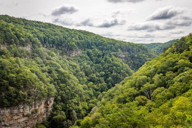 Chattanooga, Tennessee yakınlarındaki Gürcistan 'daki Gözcü Dağı' nın güneyindeki Cloudland Kanyon Eyalet Parkı manzarası.