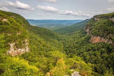 Chattanooga, Tennessee yakınlarındaki Gürcistan 'daki Gözcü Dağı' nın güneyindeki Cloudland Kanyon Eyalet Parkı manzarası.