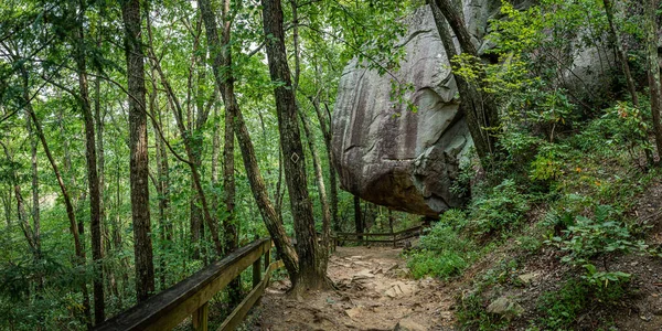 Vista Del Parque Estatal Cloudland Canyon Sur Lookout Mountain Georgia —  Fotos de Stock