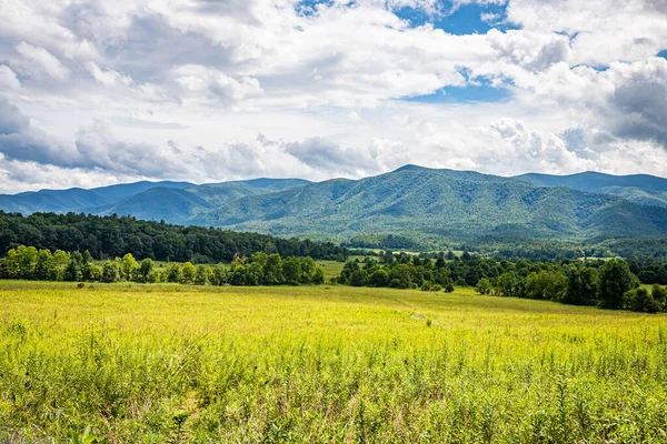 Gatlinburg, Tennessee yakınlarındaki Great Smoky Dağları Ulusal Parkı 'nda popüler bir durak olan Cades Cove Scenic Loop Trail' den görüntüler.
