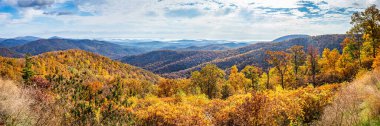 Shenandoah Ulusal Parkı ve parkın ünlü Skyline Drive 'ından Blue Ridge Dağları manzarası.
