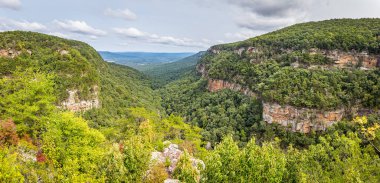 Chattanooga, Tennessee yakınlarındaki Gürcistan 'daki Gözcü Dağı' nın güneyindeki Cloudland Kanyon Eyalet Parkı manzarası.