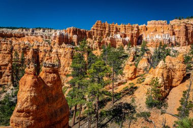Utah 'taki Bryce Canyon Ulusal Parkı' nda Hoodoo ve aşınmış uçurum oluşumları..