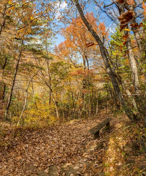 Simples Banco Rústico Oferece Aos Caminhantes Uma Pausa Tentadora Fallingwater — Fotografia de Stock