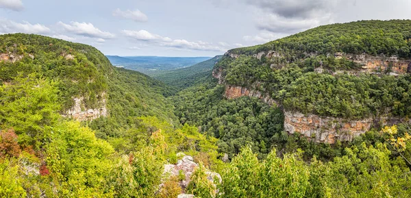 Chattanooga, Tennessee yakınlarındaki Gürcistan 'daki Gözcü Dağı' nın güneyindeki Cloudland Kanyon Eyalet Parkı manzarası.