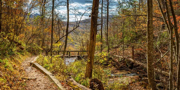 Une Randonnée Automnale Long Sentier Ruisseau Fallingwater Traverse Ruisseau Fallingwater — Photo