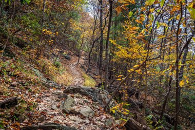 Virginia 'daki Blue Ridge Parkway boyunca Düz Dağ' daki Fallingwater Creek Patikası 'nda sonbahar yürüyüşü Appalachian Dağları' ndaki renk değişikliğini tecrübe etmek için mükemmel bir fırsattır..