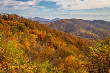 Shenandoah Ulusal Parkı ve parkın ünlü Skyline Tüneli Otoparkı 'ndan Blue Ridge Dağları manzarası.