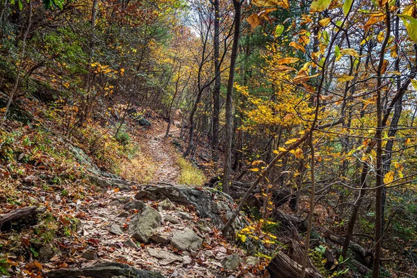 Una Caminata Otoño Sendero Fallingwater Creek Flat Top Mountain Largo — Foto de Stock