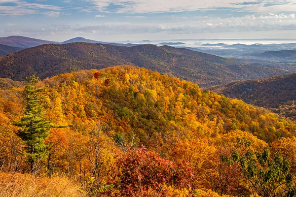 Uitzicht Shenandoah National Park Blue Ridge Mountains Vanaf Beroemde Skyline — Stockfoto