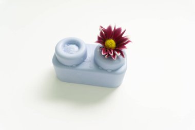 Hoş, modern ilham verici pastel soluk lavanta küpü ve mor çiçek konsepti..