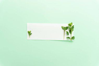 Beyaz boş kağıt ve yeşil yaprakların modern minimal konsepti