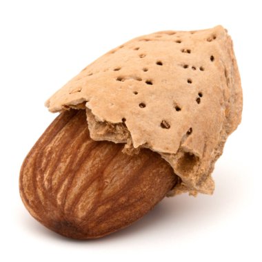 Badem fındık kabuğu ve kabuklu olarak izole beyaz arka plan yakın çekim