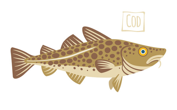 Codfish, vector cartoon illustration
