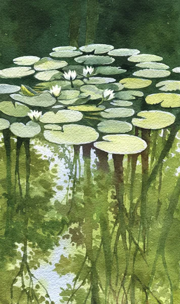 Pond with water lilies, watercolor illustration