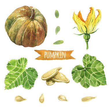 Kabak, el boyaması sulu boya seti