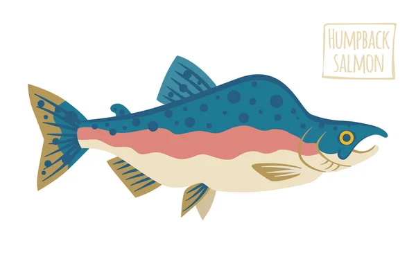 Humpback Salmón estilo de dibujos animados — Vector de stock