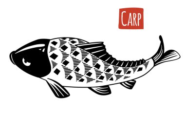 Sazan, vektör karikatür çizim  