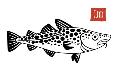 Cod, vektör karikatür çizim  