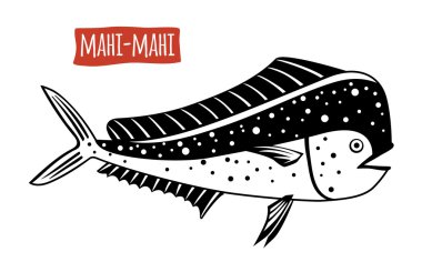 Mahi-mahi, vector cartoon illustration   clipart