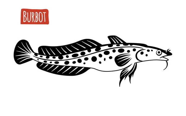 Burbot, illustrazione del fumetto vettoriale — Vettoriale Stock