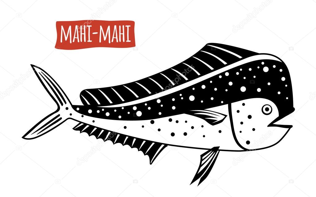Mahimahi, vector cartoon illustration Stock Vector Image by ©ananci