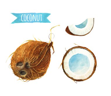 Hindistan cevizi ayarla, suluboya resim kırpma yoluyla