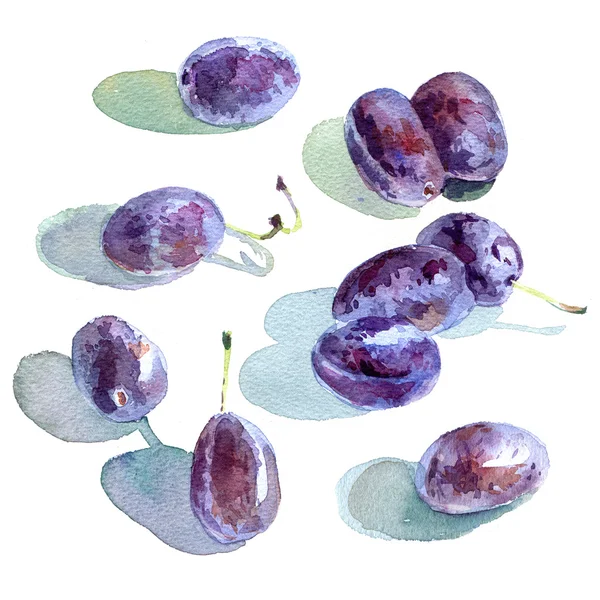 Plums on white background — Stock Photo, Image