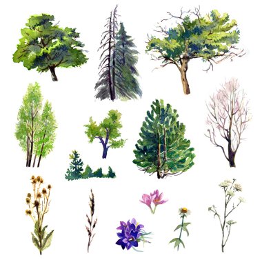 Trees set clipart