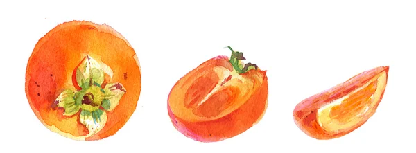 柿の分離、水彩 illustrarion — ストック写真