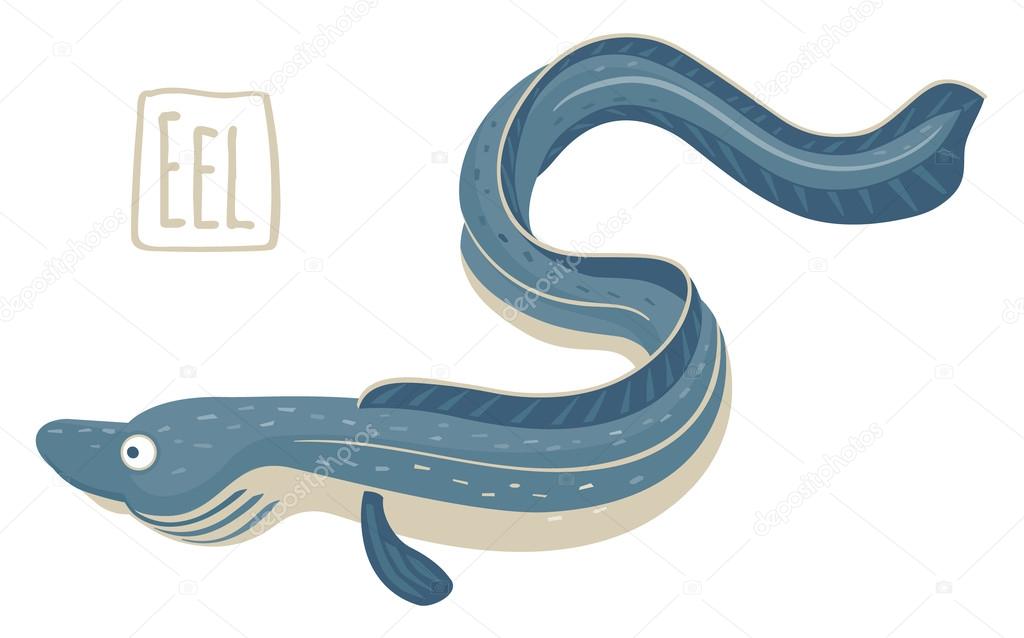 Eel, vector illustration