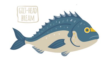 yaldızlı kafa çipura