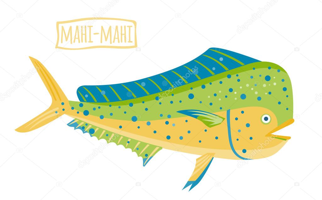 Mahi-mahi vector illustration