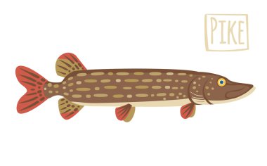 Pike, vektör karikatür çizim