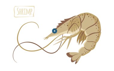 Shrimp, vector cartoon illustration clipart