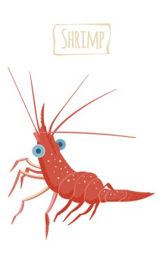 Karides, vektör karikatür çizim
