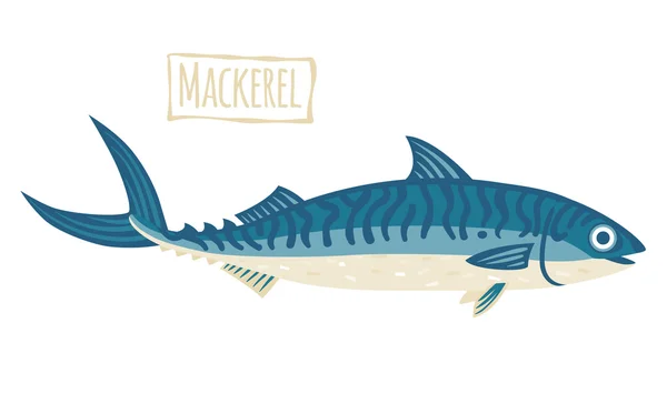 Makreel, cartoon vectorillustratie — Stockvector