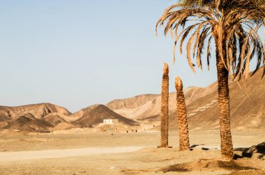 Egypt lies in Northeast Africa and a small part belongs to Asia. Egypt is called the gateway to Africa, a country with a mysterious reputation and history that began to be written at the very beginning of human civilization.