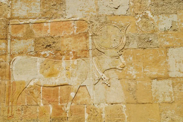 Egypt lies in Northeast Africa and a small part belongs to Asia. Egypt is called the gateway to Africa, a country with a mysterious reputation and history that began to be written at the very beginning of human civilization.